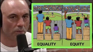 Equity vs Equality  Joe Rogan amp Tim Pool [upl. by Culver635]