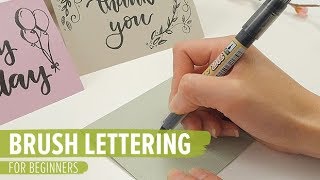 Brush Lettering for Beginners [upl. by Nylaroc]