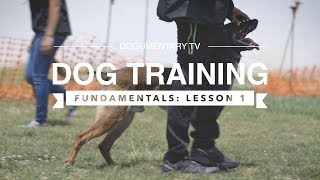 DOG TRAINING FUNDAMENTALS LESSON 1 [upl. by Ottinger]