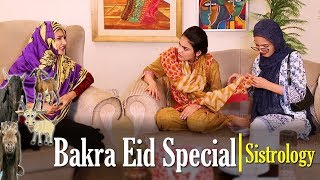 Bakra Eid Special  Sistrology  ftiqra kanwal  hira  fatima [upl. by Slorac9]