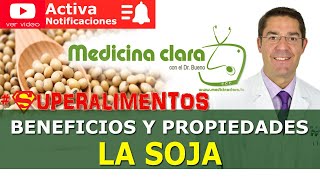 SojaSoya Beneficios y mitos de la soja o soya  Medicina Clara [upl. by Krischer]