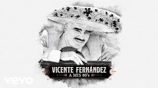 Vicente Fernández  Se Me Olvidó Otra Vez Cover Audio [upl. by Khosrow]