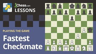 The Fastest Checkmates in Chess [upl. by Neih30]