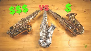 Cheap vs Expensive Curved Soprano Saxophones [upl. by Queenie]