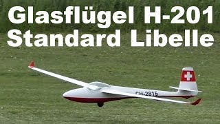 Glasflügel H201 Standard Libelle Valentamodel scale RC glider 2019 [upl. by Dace]