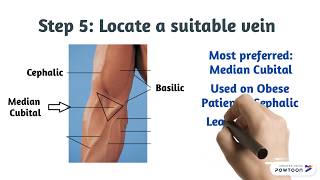 Phlebotomy How to Draw Blood [upl. by Oinotla]