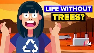 Could Humanity Survive Without Trees [upl. by Kwei]