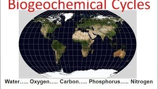 Biogeochemical Cycles honors biology updated [upl. by Markiv]