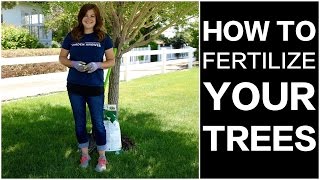 How to Fertilize Trees [upl. by Etnoed]