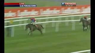 Punchestown World Series Hurdle 2012 [upl. by Giustina734]