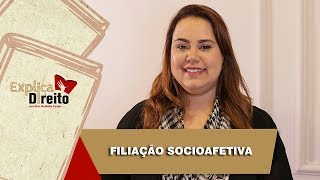 Explica Direito Filiação Socioafetiva  2019 [upl. by Arretal17]