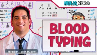 Hematology  Blood Typing [upl. by Bonucci]