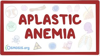 Aplastic anemia  an Osmosis Preview [upl. by Vasilek408]