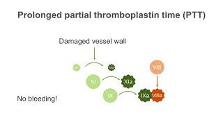 How to interpret a partial thromboplastin time PTT test [upl. by Anawk]