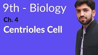 9th Class Biology  Chapter 4  Centrioles Cell [upl. by Brnaby]