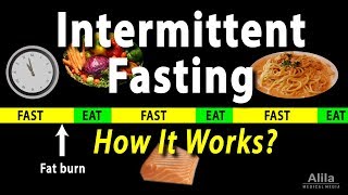 Intermittent Fasting  How it Works Animation [upl. by Zertnom]