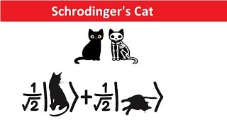 Schrodingers Cat Explained in Hindi  Quantum Physics Many World Theory amp Reality [upl. by Netsryk308]