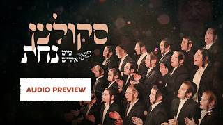 Skulen Mit Yiddish Nachas Album Preview A Moshy Kraus Production  משה קרויס  סקולען מיט אידיש נחת [upl. by Ignacius]