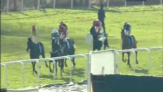 Cheltenham Festival 2013  Sportingbet Queen Mother Champion Chase  Sprinter Sacre [upl. by Ycul]