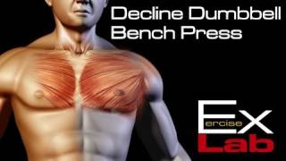 Decline Bench Press  Chest Exercises [upl. by Aelsel286]