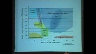 Hyperparathyroidism  Endocrinology  Pathophysiology  Medicine Lecture  VLearning™ [upl. by Daegal]