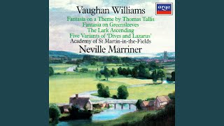 Vaughan Williams The Lark Ascending [upl. by Alue736]