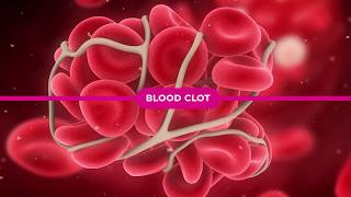 Coagulation Cascade Explained [upl. by Ankeny687]