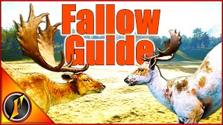 Fallow Deer Guide  Times Weapons Locations amp More [upl. by Amari]