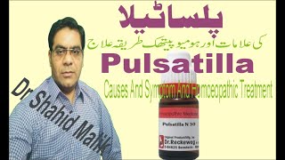 Pulsatilla پلساٹیلا Causes And Homoeopathic Treatment [upl. by Hewes918]