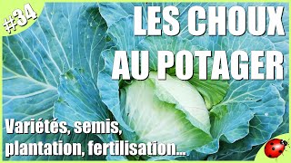 CHOUX amp FERTILISATION au POTAGER [upl. by Oicram]