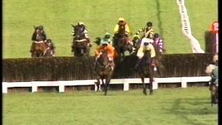 1995 Tote Cheltenham Gold Cup Chase [upl. by O'Connor849]