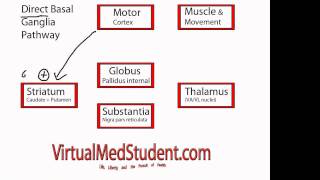 Basal Ganglia Mnemonics Memorable Neurology Lecture 4 [upl. by Eecyac52]