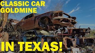 Exploring a Classic Car Goldmine in Texas Johns Salvage  Part 1 [upl. by Sula743]