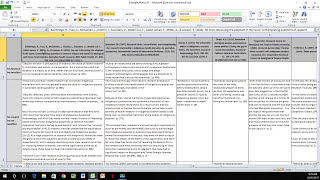 How to Create a Literature Matrix Excel [upl. by Atiuqcaj796]