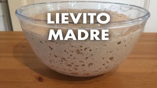 Lievito madre da zero [upl. by Kotick764]