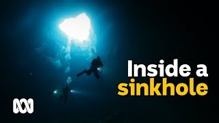 Worldclass sinkholes attract divers to South Australian farms 🕳️  Wild Rides Ep 4  ABC Australia [upl. by Wanyen]