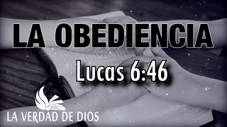 La Obediencia Predica en Audio [upl. by Dibrin]