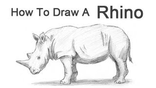 How to Draw a Rhinoceros [upl. by Artimas]