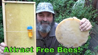 How To Attract Bees To Your Bee Box [upl. by Naryk336]