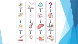 Pathology  Introduction and disease nomenclature [upl. by Ker904]