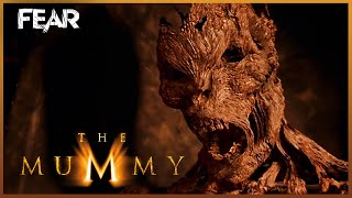 The Mummy Returns All Mummy Scenes [upl. by Ahsied]