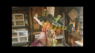 DIY Fiberglass Resin Taxidermy Fish Mount [upl. by Annia16]