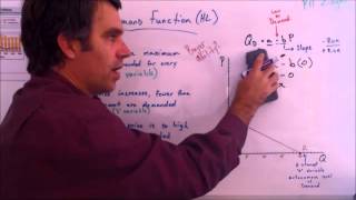 Linear Demand Functions [upl. by Aibos729]