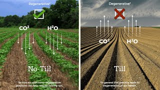 Regenerative Agriculture  Regenerative Farming [upl. by Flanders858]