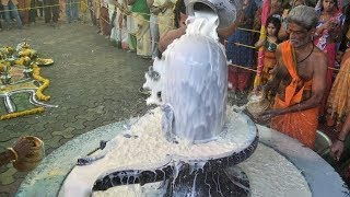 Maha shivratri Sri Rudra Abhishekam Mantra  Powerful For Good Health amp Protection Against Enemies [upl. by Benisch]