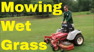 How to Cut Wet Grass  Strategy to Deal with Lawn and Customers When Raining [upl. by Kaleb]