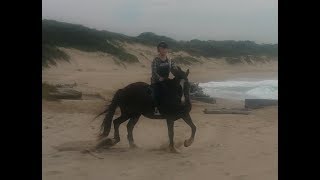 My Near Death Experience Horse Riding Galloping 1 [upl. by Buffy]