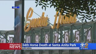 Breaking 34th Horse Euthanized At Santa Anita Park [upl. by Feldman]