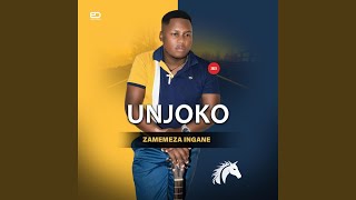 Ngiyekeni feat Mjikelo amp Ngwekazi [upl. by Dnomrej766]