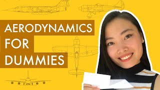 Intro to Aerodynamics How Do Airplanes Fly [upl. by Anes96]